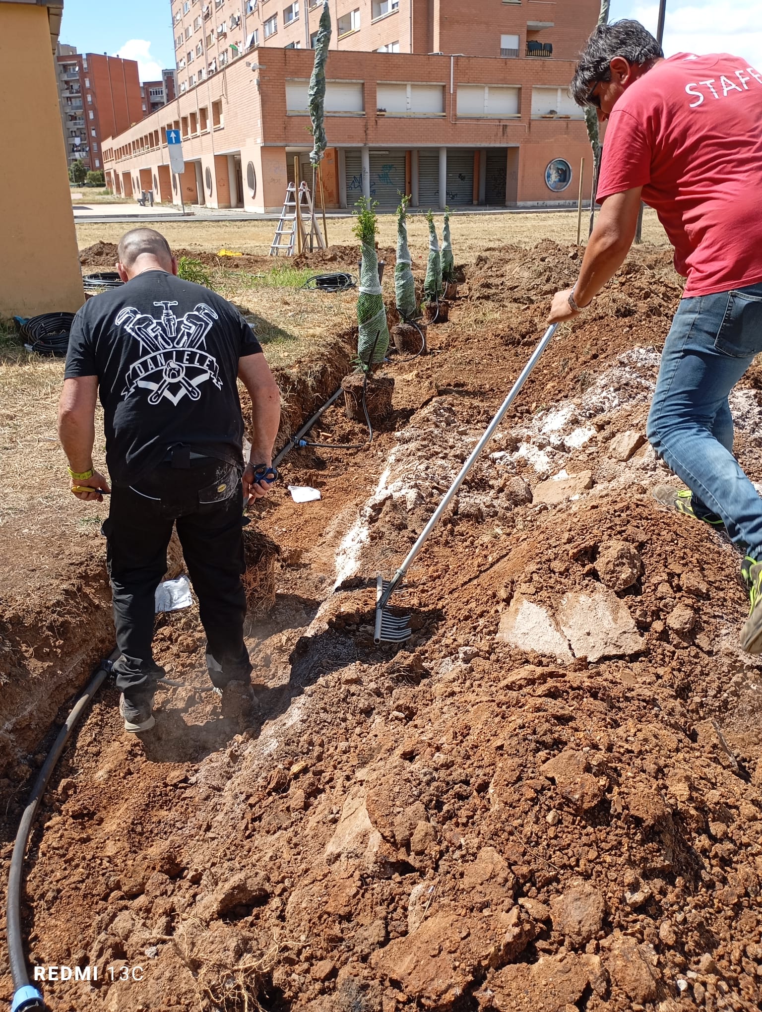 Lavori in corso per la messa a dimora degli alberi nell'area della Chiesa San Valentino