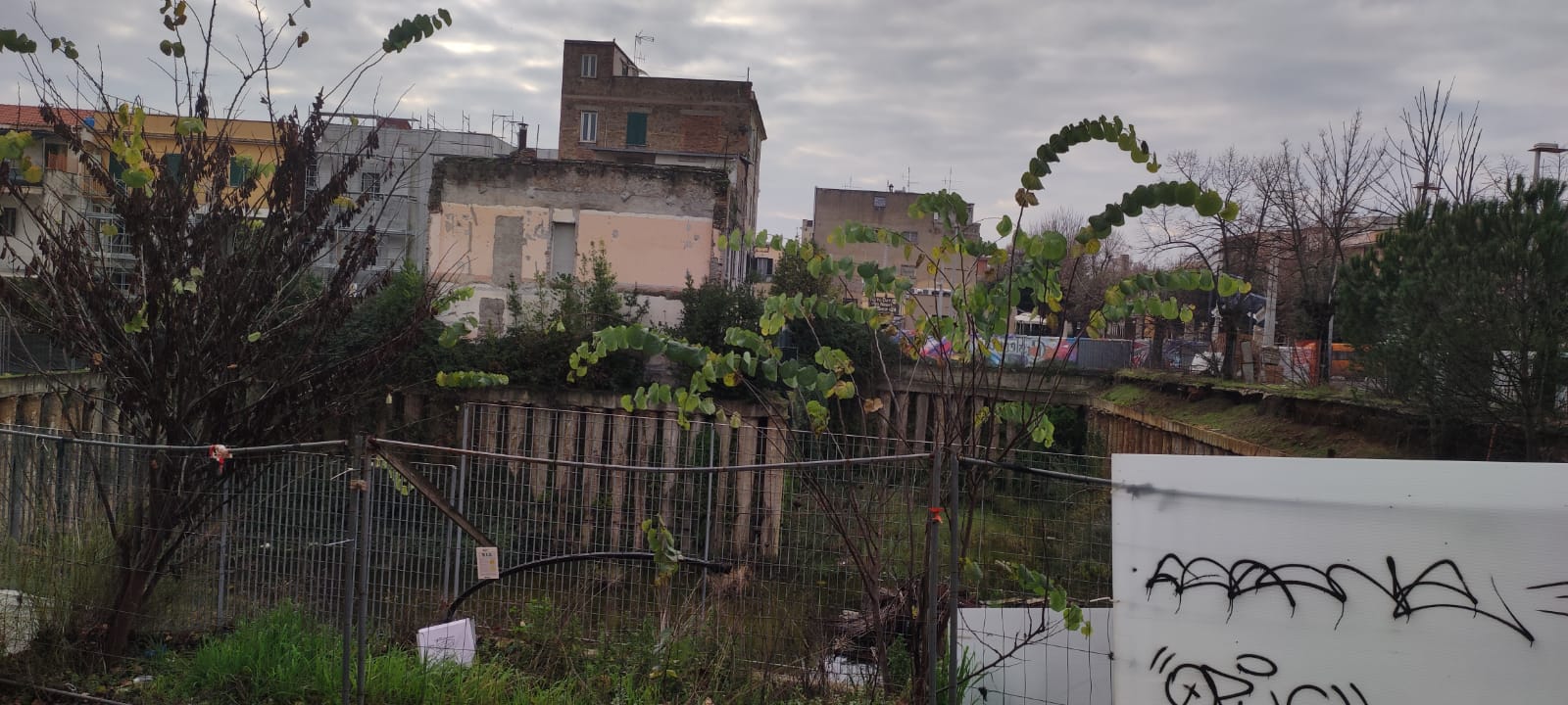 Cantiere ex consorzio agrario - cinema luiselli