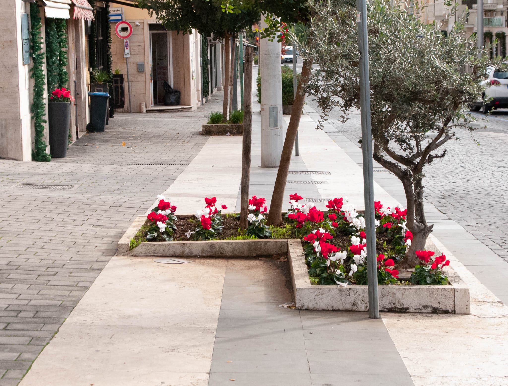 Fiori nella aiuole di Corso della Repubblica